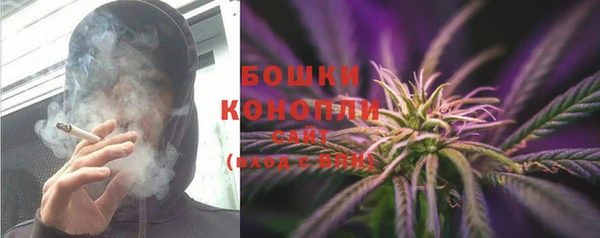 спиды Бородино