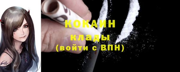 молекула духа Богданович