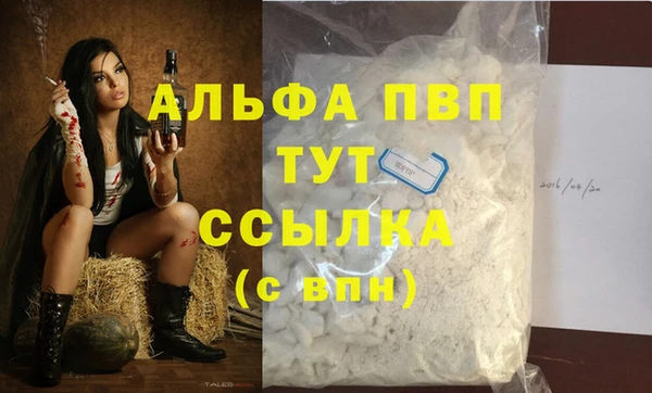 спиды Бородино