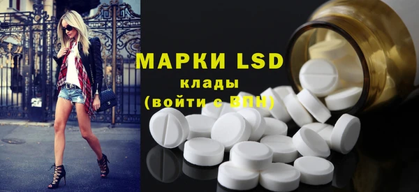 молекула духа Богданович