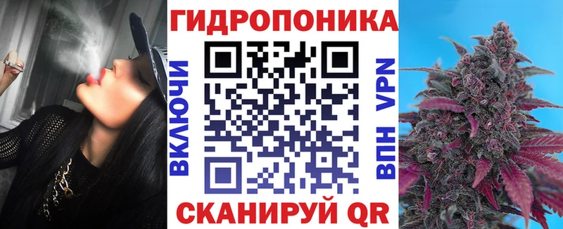 Каннабис OG Kush  Афипский 